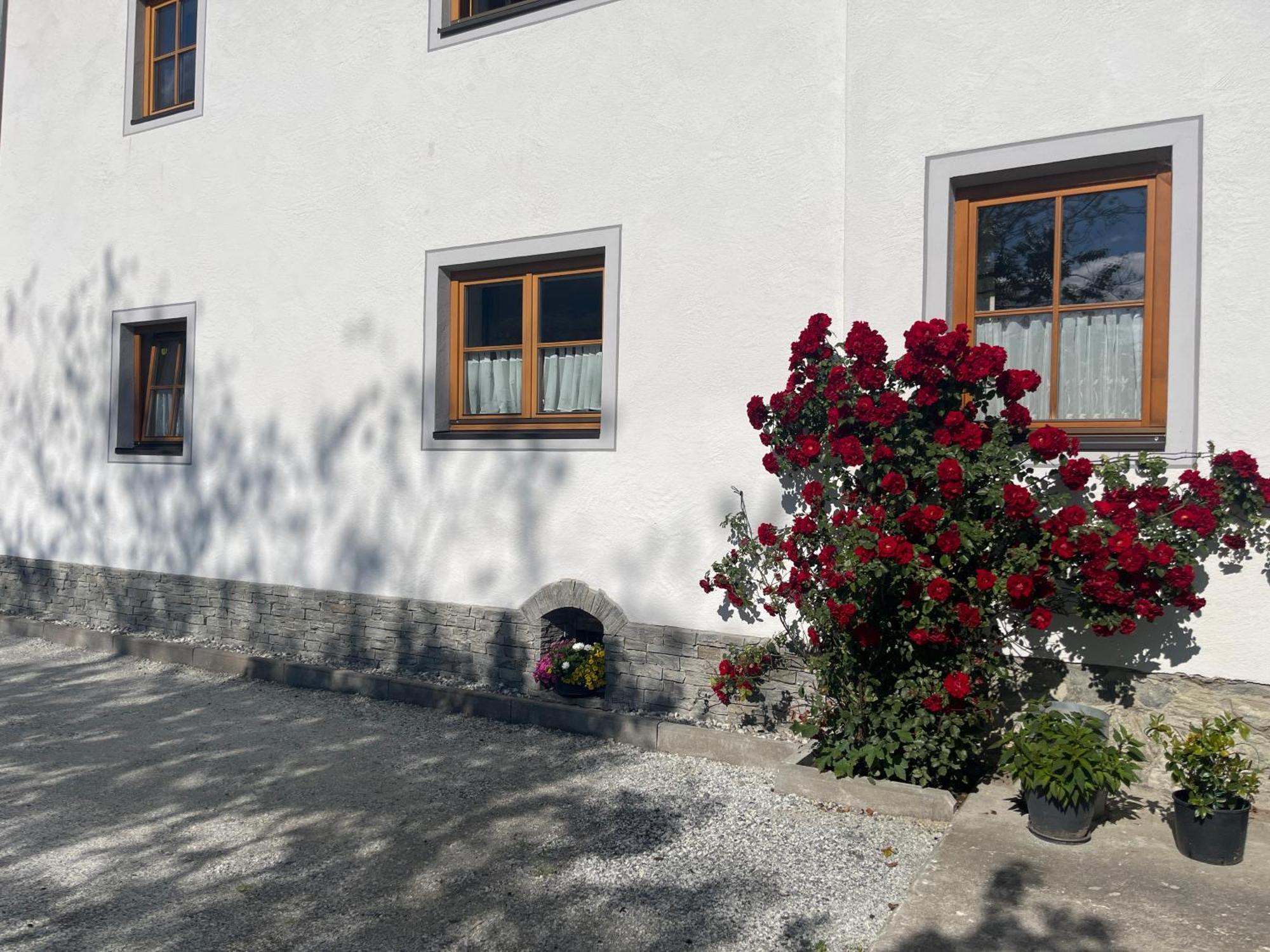 Landhaus Ganzer Niedernsill Extérieur photo
